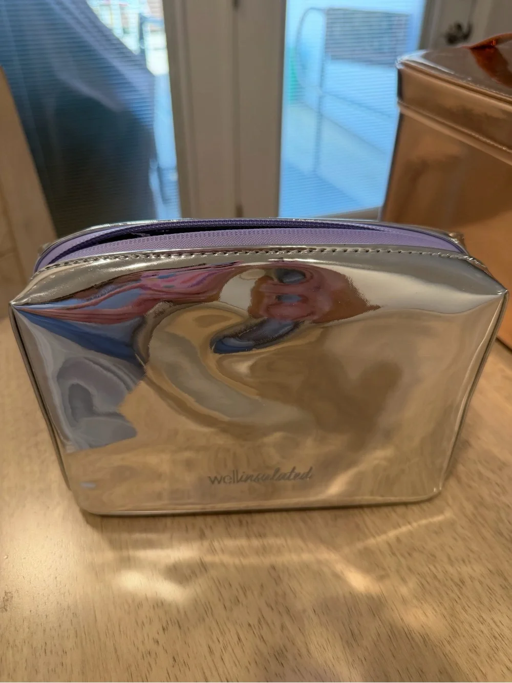 Silver Cosmetic Pouch with Purple Trim